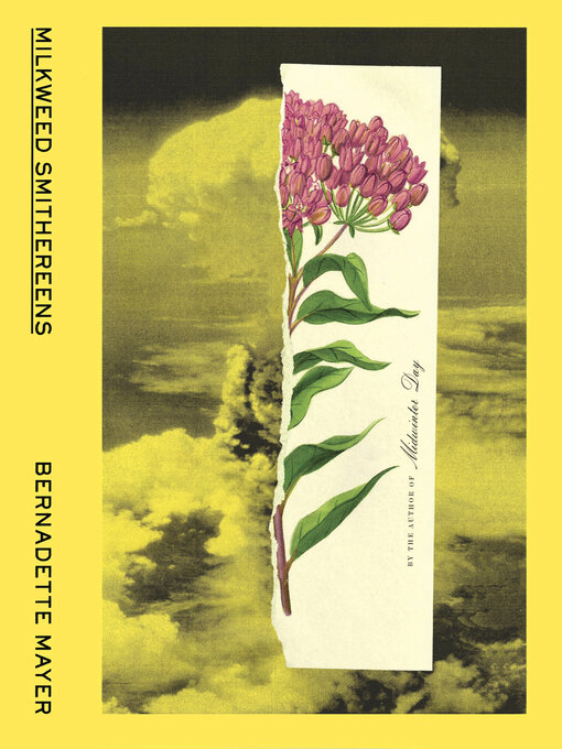 Title details for Milkweed Smithereens by Bernadette Mayer - Wait list